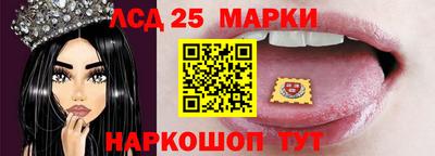 кокс Кандалакша
