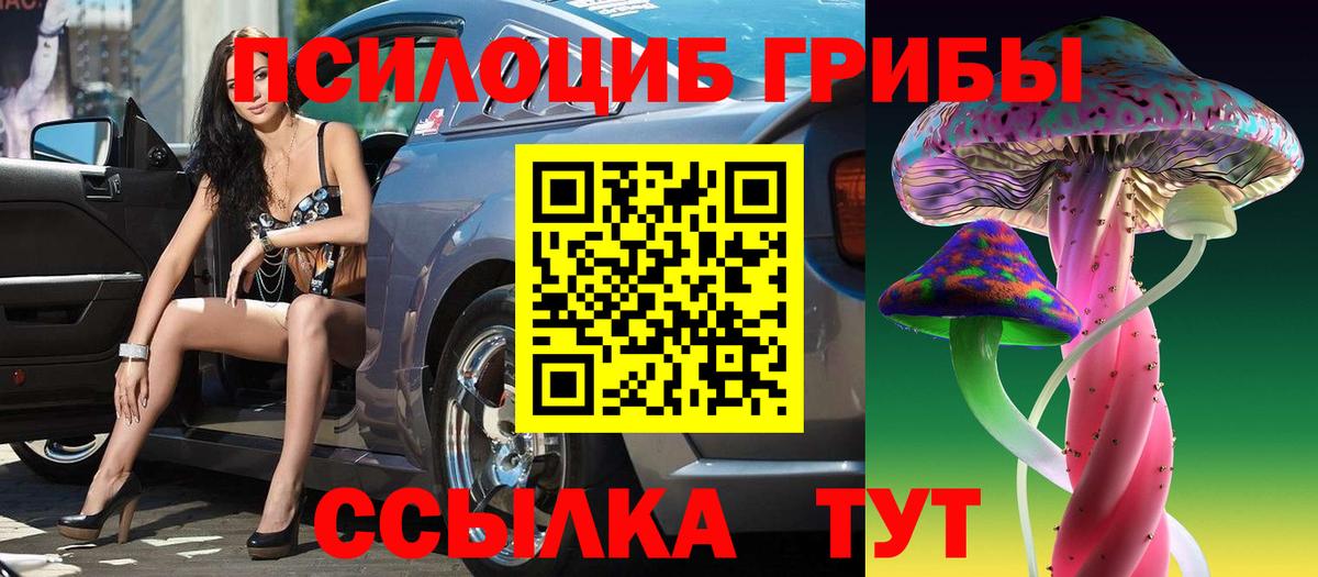 Галлюциногенные грибы GOLDEN TEACHER  Вход с VPN  Джанкой  Галлюциногенные грибы Psilocybe 