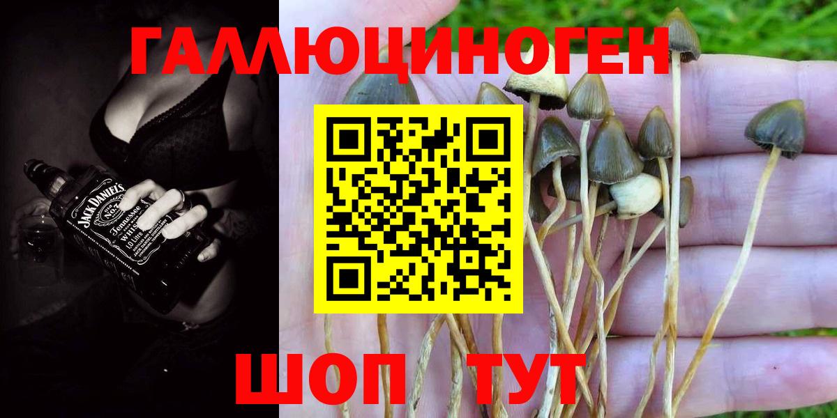 Псилоцибиновые грибы мицелий Джанкой
